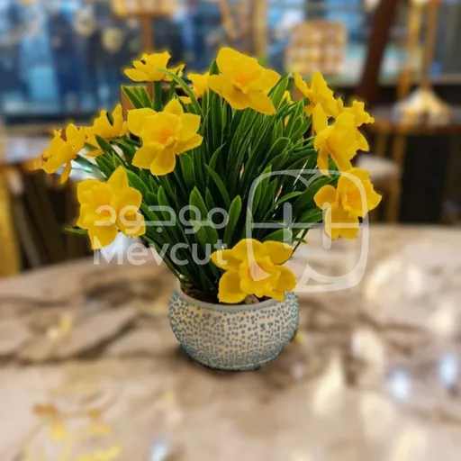 زهور للزينة