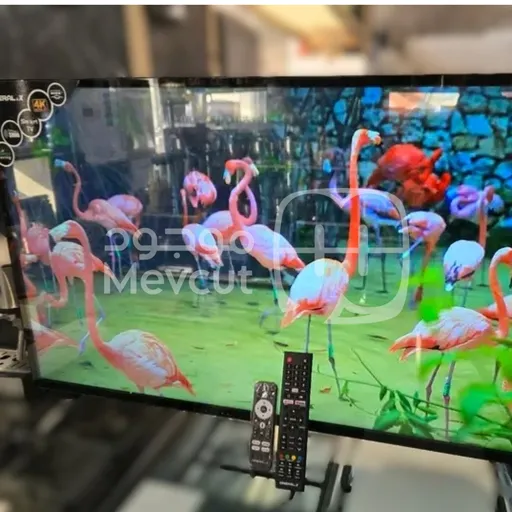 شاشة General L.X 43