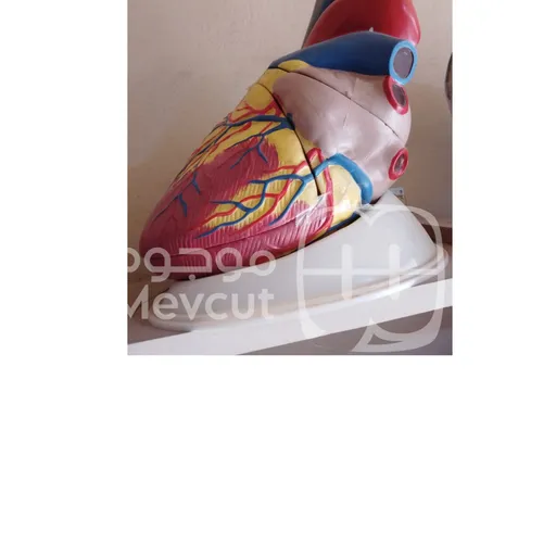 مجسم قلب كبير