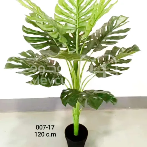 نبتة صناعية بتصميم أنيق مستوحى من أوراق المونستيرا ذات الفتحات المميزة