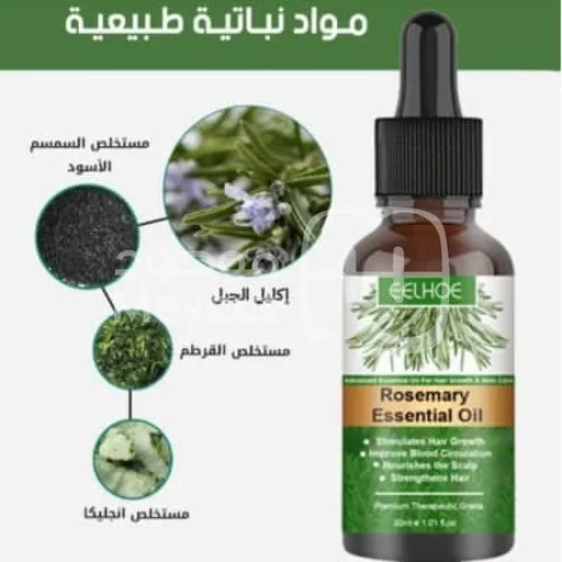 زيت إكليل الجبل العلاجي