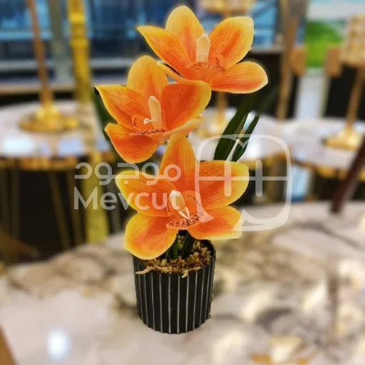 نبات الزينة الصناعي