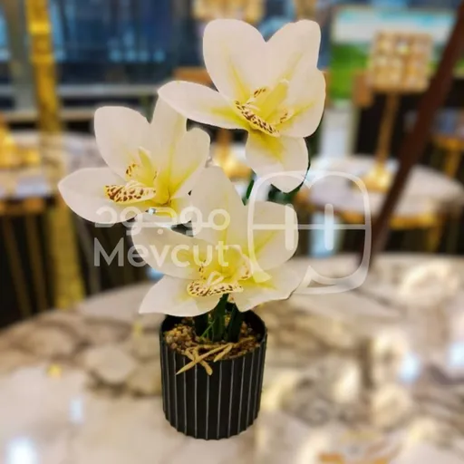 زهرة أوركيد اصطناعية