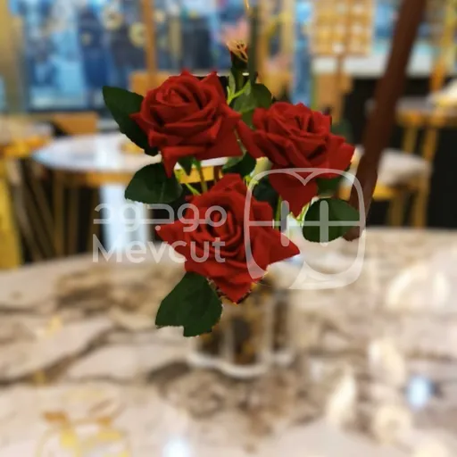 ورود صناعية