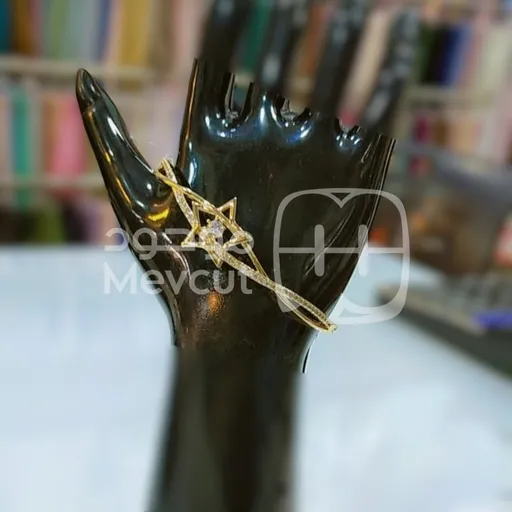 أسوارة بتصميم عصري وأنيق