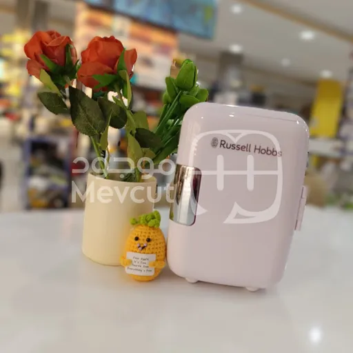 ثلاجة صغيرة (Mini Fridge)